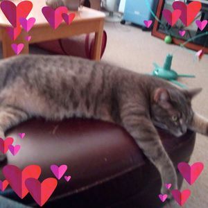 Meet your Posher, Debbie